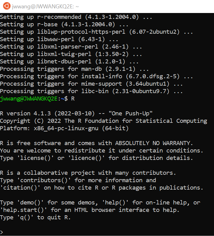 RStudio Server on Ubuntu through Windows Subsystem for Linux (WSL2) |  